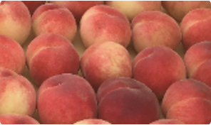 天井とクライミングボード　202511